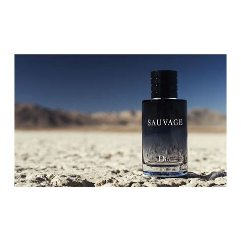 sauvage dior erkek parfüm fiyat|Dior Sauvage fiyatı.